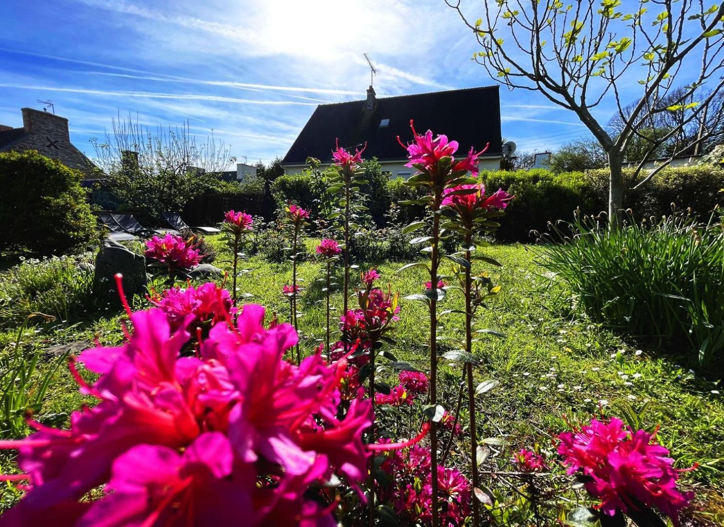 Maison Kerity With Jacuzzi - Terrace Hotel Paimpol Exterior foto